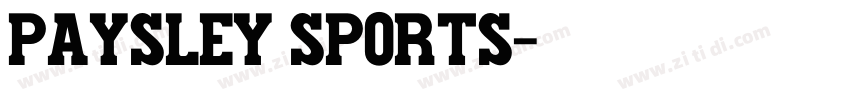 paysley sports字体转换